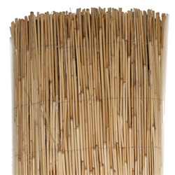 Reed Fence