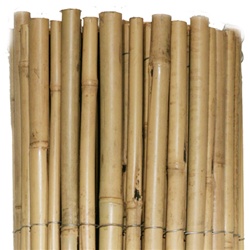 Whole Tonkin Bamboo Fencing