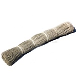 Seagrass Stems